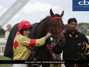 Beverley Races