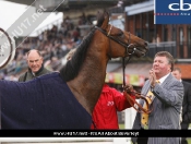 Beverley Races