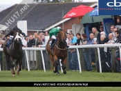 Beverley Races
