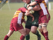 Beverley RUFC 33 Middlesbrough 16