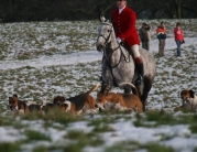 Beverley Boxing Day Hunt by Roger Spink