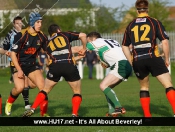 Beverley RUFC 22 Hull RUFC 47