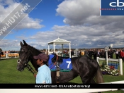 Beverley Races