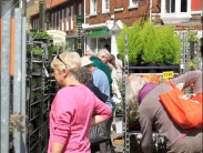 beverley-saturday-009