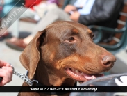 beverley-saturday-069