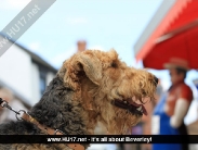 beverley-saturday-120