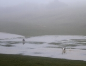 Beverley Westwood Covered in Water