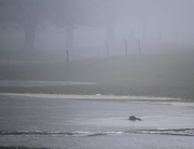 Beverley Westwood Covered in Water