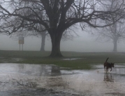 Beverley Westwood Covered in Water