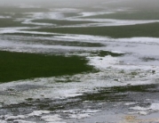 Beverley Westwood Covered in Water