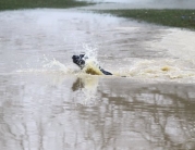 Beverley Westwood Covered in Water