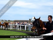 Beverley Races