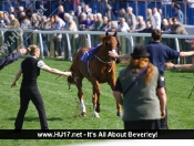 Beverley Races