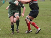 Beverley RUFC