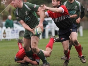 Beverley RUFC