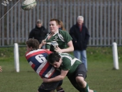 Beverley RUFC