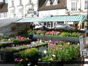 Beverley Saturday Market