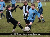 Beverley Town Warriors