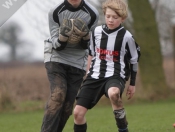 Beverley Town Warriors