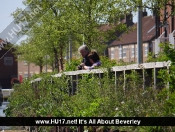 BÃ¼rgermeister Cruises Down Beverley Beck in Style