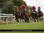 Beverley Races