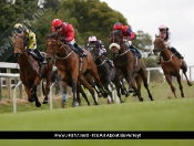Beverley Races