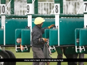 Beverley Races