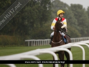 Beverley Races