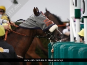 Beverley Races