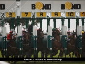 Beverley Races