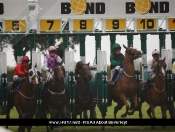 Beverley Races