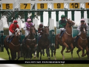 Beverley Races