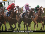 Beverley Races