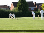 Beverley Cricket