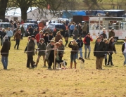 Dalton Park Point-to-Point