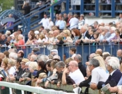Family Fun Day @ Beverley Racecourse