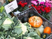 Fresh n Fruity's Harvest Festival Gift