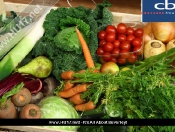 Fresh n Fruity's Harvest Festival Gift
