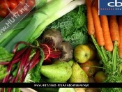 Fresh n Fruity's Harvest Festival Gift