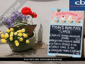 Get Your Tea And Cake Fix @ Brownies & Blondies