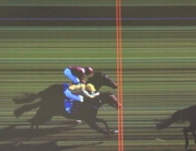 beverley-racecourse-212