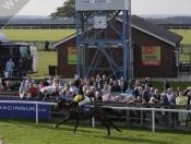 Lucky in Love Beverley Races