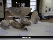 Nature’s Fairest Forms Beverley Art Gallery