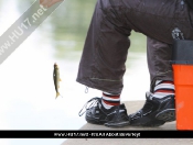 New Fishing Platforms & Heritage Walk At Beverley Beck