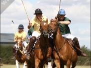 Beverley Polo Club
