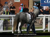 Pony Racing day @ Beverley Racecourse