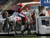 Pony Racing day @ Beverley Racecourse