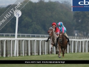 Pony Racing day @ Beverley Racecourse
