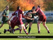 Beverley RUFC