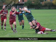 Beverley RUFC